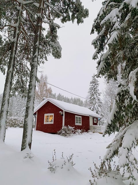 Property building, Winter