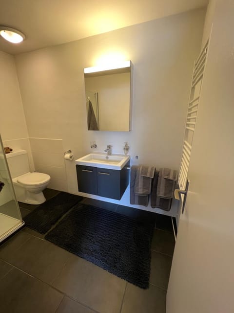 Studio Flims Apartment in Canton of Grisons