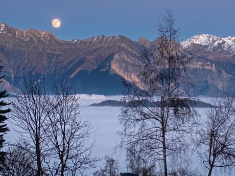 Mountain view