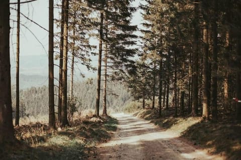 Natural landscape