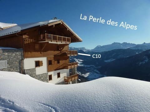 La Perle des Alpes C10 Apart.4* #Yolo Alp Home Apartment in Villard-sur-Doron