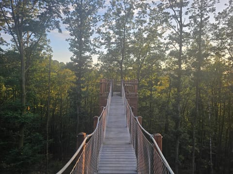 Gîte DDS Villa in Manhay