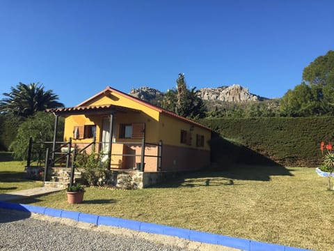 Property view