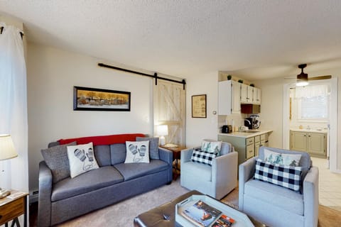 Teddy's Getaway Apartment in Ludlow