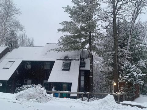 Fantastic 2 family vacation home with EV charger Chalet in Windham