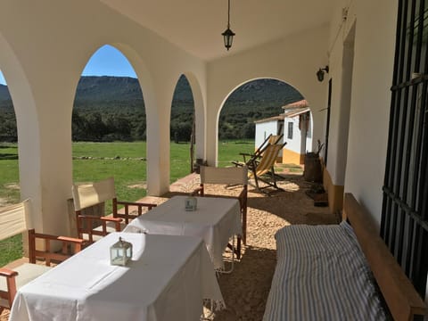 Patio, Balcony/Terrace, Lobby or reception