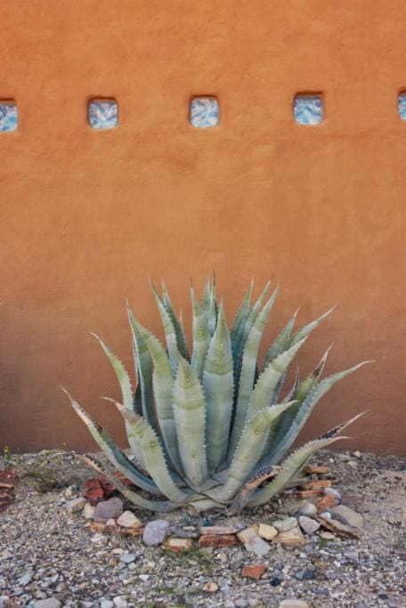 Desert Pearl ⁠— Quick Drive from Big Bend House in Big Bend National Park