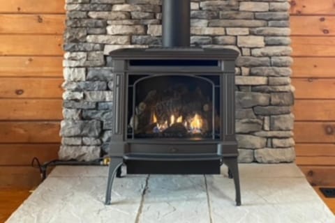 Modern Log Cabin with Vineyard Views Cabin in Seneca Lake