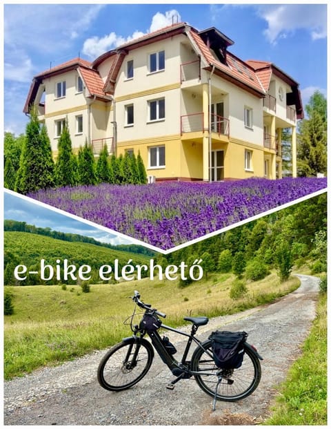 Property building, Cycling