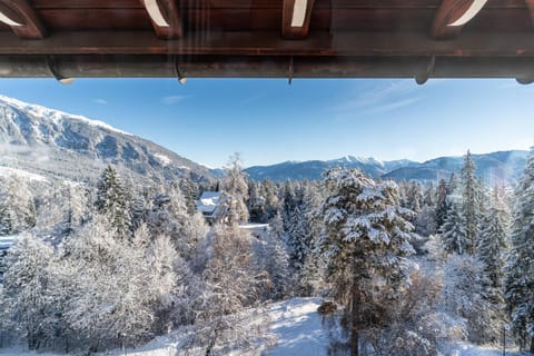 Edelweiss Schlosswohnung Apartment in Canton of Grisons