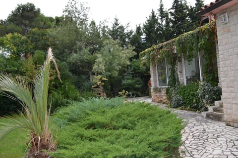 Villa Edward Apartment in Premantura