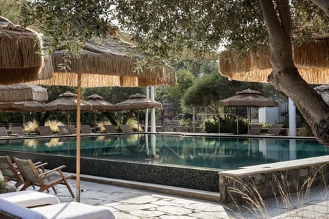 Day, Natural landscape, Garden, Garden view, Pool view, Swimming pool, sunbed