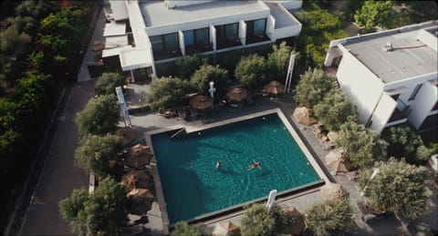Property building, Day, Bird's eye view, Garden, Garden view, Pool view, Swimming pool, sunbed