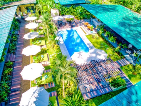 Swimming pool, Swimming pool
