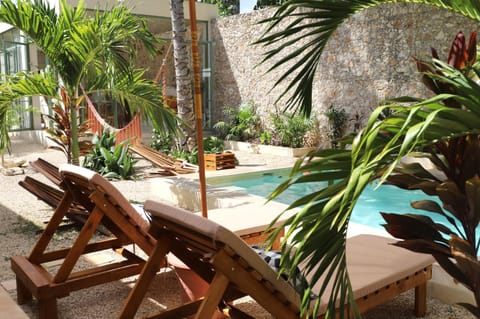 Garden, Garden view, Pool view, Swimming pool, sunbed