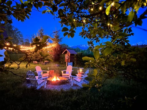 Night, Natural landscape, Garden, Garden view
