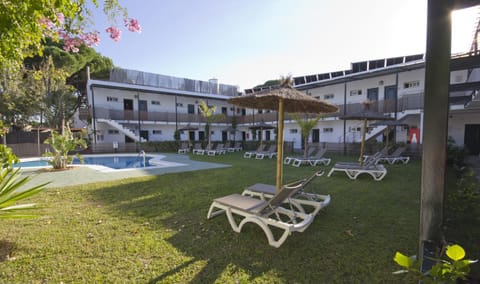 Garden, Solarium, Swimming pool, Swimming pool