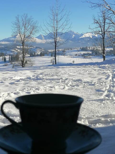 Day, Natural landscape, Winter, Coffee/tea facilities, Mountain view