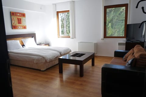 АПАРТАМЕНТ ЗА ГОСТИ ЕВЕЛИН Apartment hotel in Decentralized Administration of Macedonia and Thrace