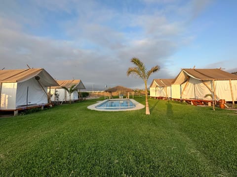 Natural landscape, Garden, Garden, Garden view, Pool view, Swimming pool