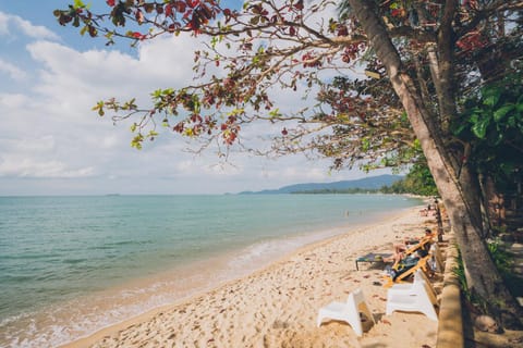 Beach, Sea view