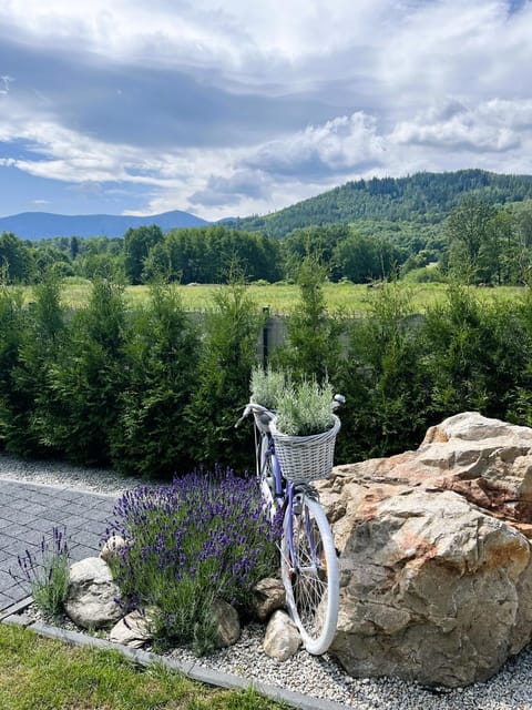 View (from property/room), View (from property/room)