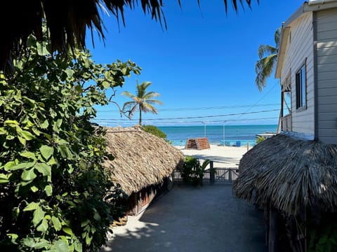 Garden, Beach, Sea view