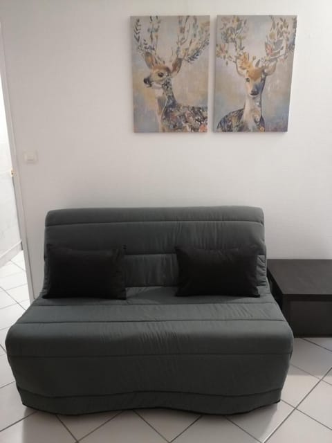 Charmant studio cosy Apartment in Orléans