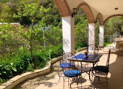 Garden, Balcony/Terrace