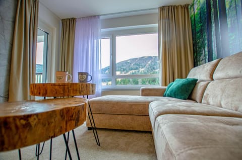 View Of The Top - Bjelašnica Apartment in Federation of Bosnia and Herzegovina