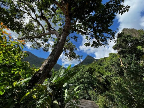 Casa dos franceses guesthouse ilha grande Bed and Breakfast in Angra dos Reis