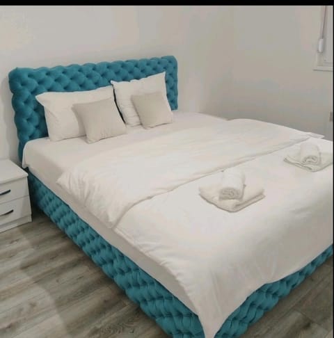 Stari Hrast 2 Apartment in Serbia