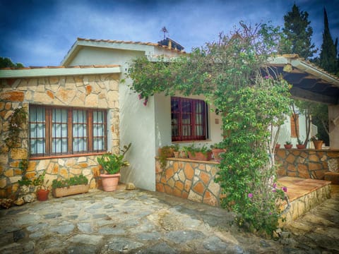 Property building, Garden, Garden view