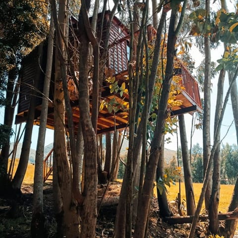 Natural landscape