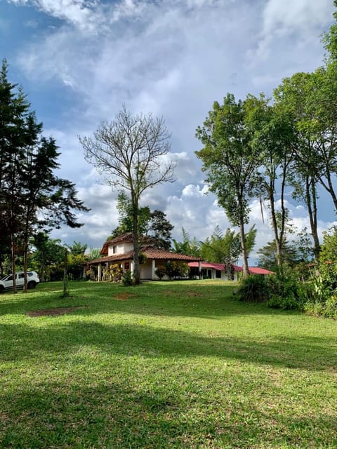 Spring, Day, Natural landscape, Garden, Garden view