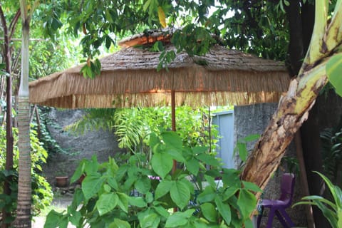 Natural landscape, Garden, Garden view
