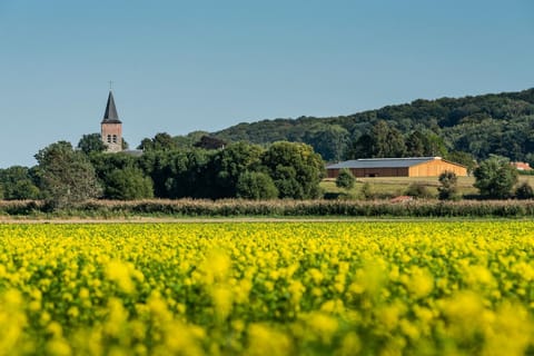 Property building, Natural landscape, Location