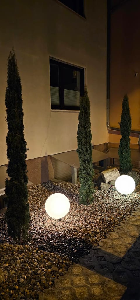 Night, Garden view