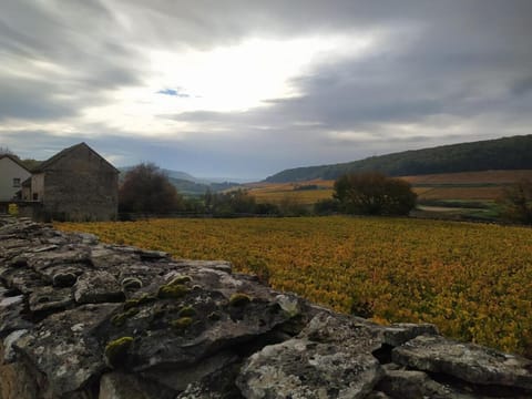 Le Clos du Château House in Bourgogne-Franche-Comté