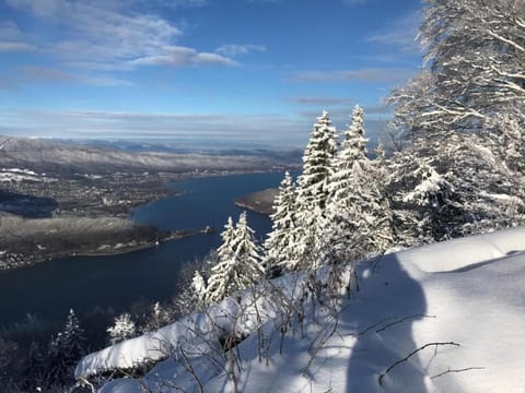 Gite LE SEMNOZ Apartment in Doussard