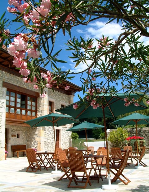 Patio, Day