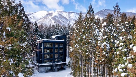 Property building, Winter, Mountain view