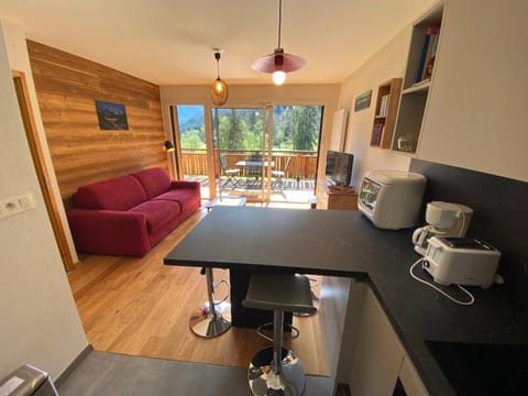 Appartement contemporain et lumineux avec parking, animaux admis - FR-1-693-84 Apartment in Châtel