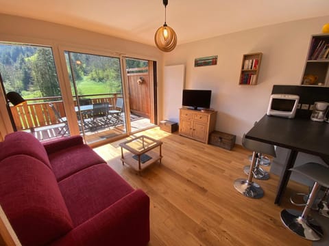 Appartement contemporain et lumineux avec parking, animaux admis - FR-1-693-84 Apartment in Châtel