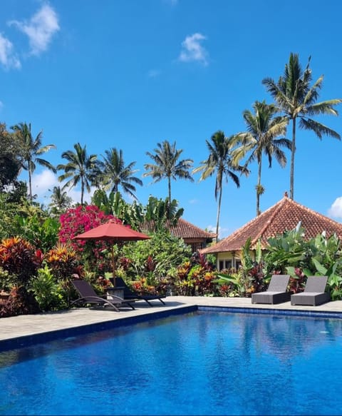 Property building, Swimming pool, sunbed