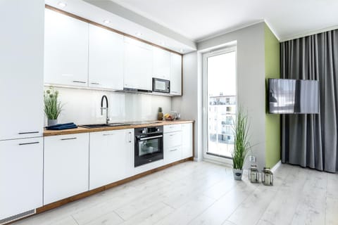 TV and multimedia, Kitchen or kitchenette, dishwasher, minibar, stove