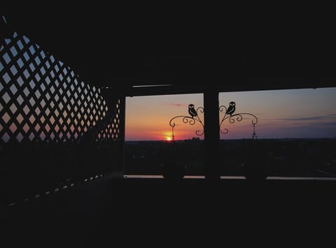 TOP Room Apartment in Vojvodina