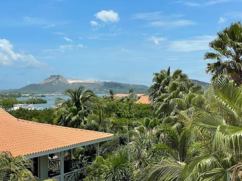 Mountain view, Sea view
