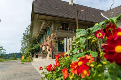 Property building, Spring