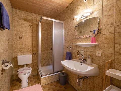 Appartement Alpenlöwe Apartment in Salzburgerland